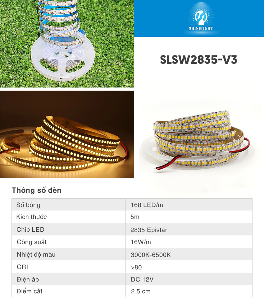 Đèn LED dây 12V SLSW2835-V3